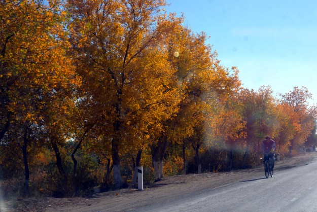 From Tortkol onwards to Khiva, the colours of autumn greet us on the fringes of the Kyzyl Kum desert. 
